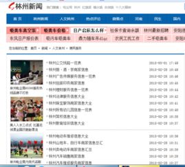 红绿交映建设千亿工业 河南林州网赋能高质量发展